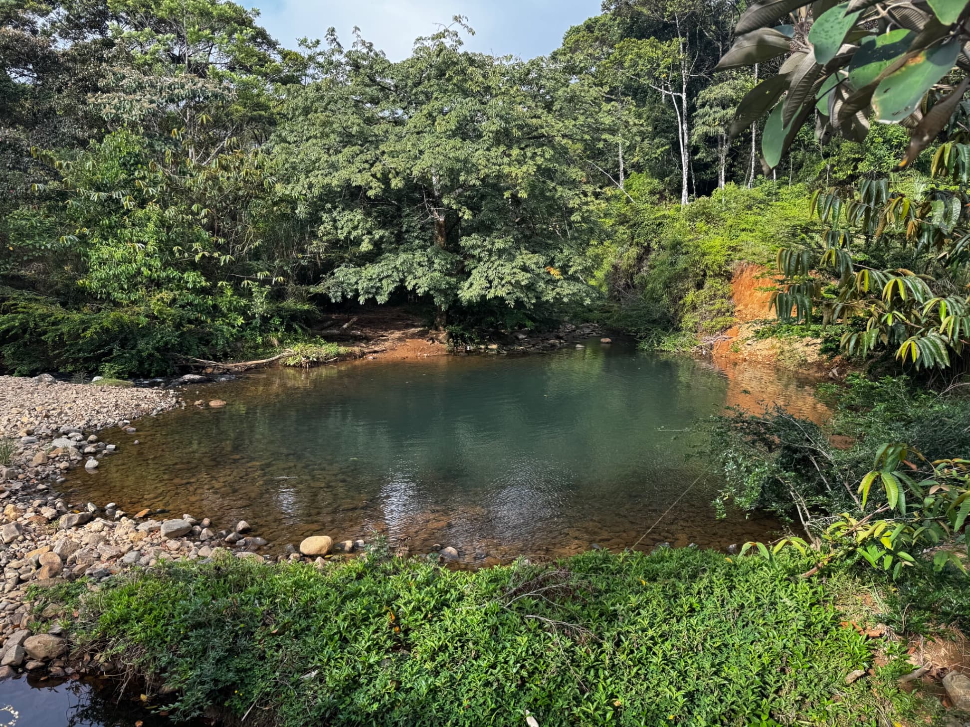 Poza Azul